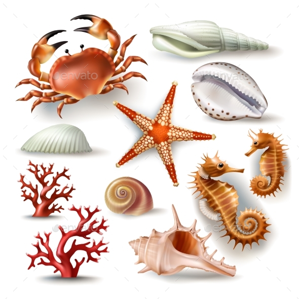 Set of Vector Ocean Illustrations - Miscellaneous Vectors