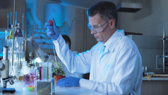 Scientist Experimenting with Plant, Stock Footage | VideoHive