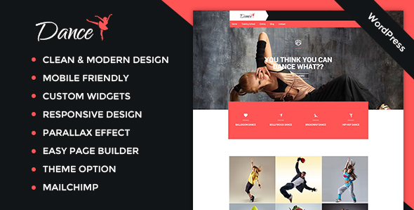 Dance Academy - Music and Bands Entertainment