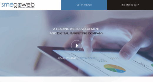 SMEgoweb - Digital Marketing Agency