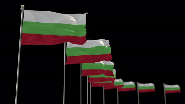 Bulgaria  Row Flag With Alpha