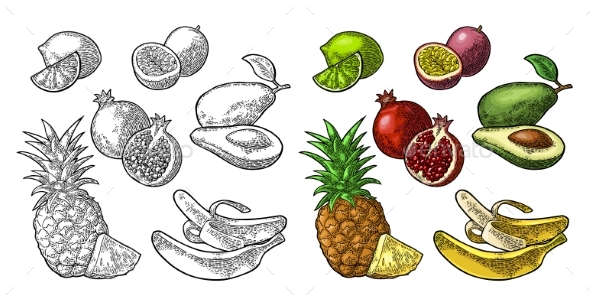 Set of Tropical Fruits - Food Objects