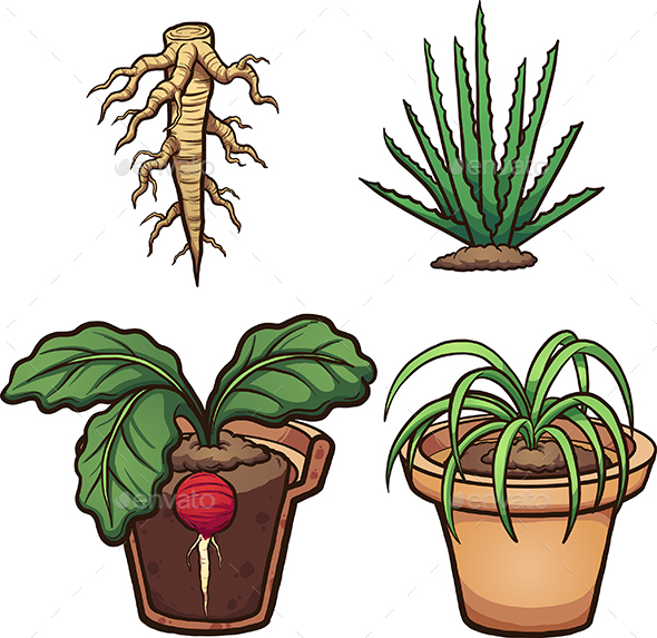 Cartoon Plants - Flowers & Plants Nature