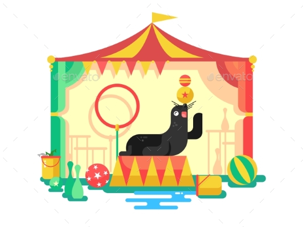 Fur Seal in a Circus - Animals Characters