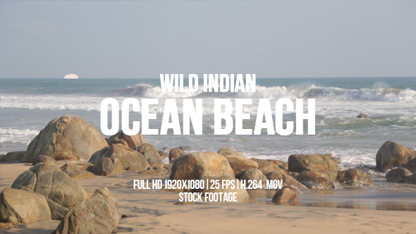 Wild Indian Ocean beach