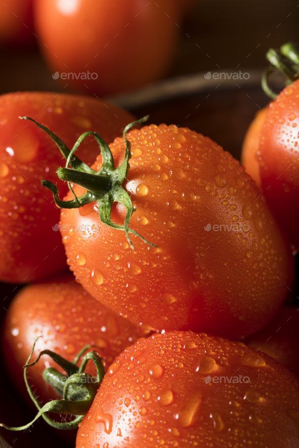 Raw Red Organic Roma Tomatoes - Stock Photo - Images