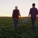 Mom and His Son Work Together in the Field, Harvesting. Carrying Baskets - VideoHive Item for Sale
