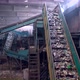 Plastic Bottle Recycling Factory - VideoHive Item for Sale