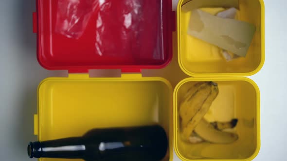 Different Bins Full of Garbage, Sorting of Glass, Plastic and Paper, Recycling alt