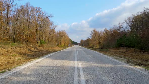 trees and pathway in red and orange colors in autumn, great autumn day alt