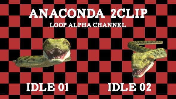Anaconda 2clip Loop