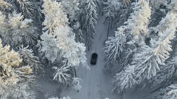 Aerial View of Black Car Driving in Snow Forest Road