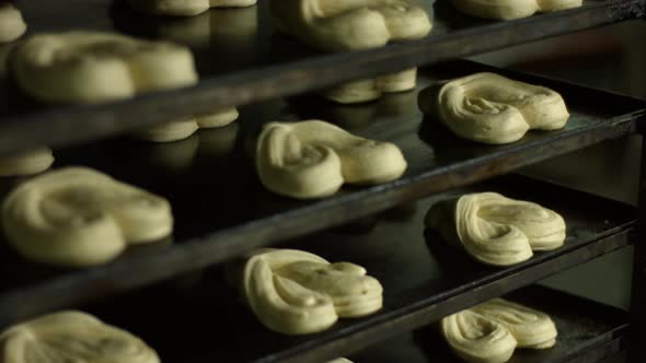 Making Buns. Production of Dessert alt