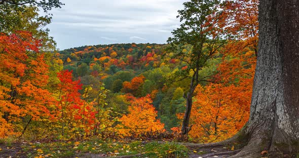  Timelapse of the Autumn Landscape. Colorful Foliage in the Fall Park.