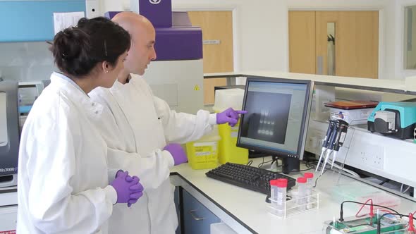 Two Scientist looking at DNA on computer screen alt