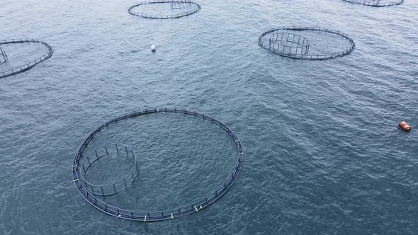 Aquaculture fish farm in sea for providing farmed fish produce for market alt