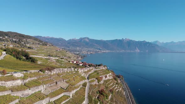 Flyover the vine region on lake geneva called Lavaux. Vineyards on terrasses over a beautiful lake w alt