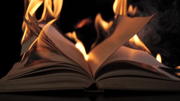 The Book is on Fire, Stock Footage | VideoHive