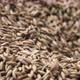 Hands Grabbing and Pouring Organic Rye Grains - VideoHive Item for Sale