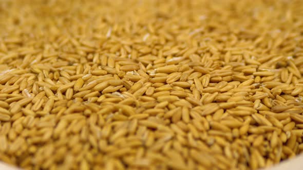 Grains of Raw Oat Groats Rotate Close-up alt