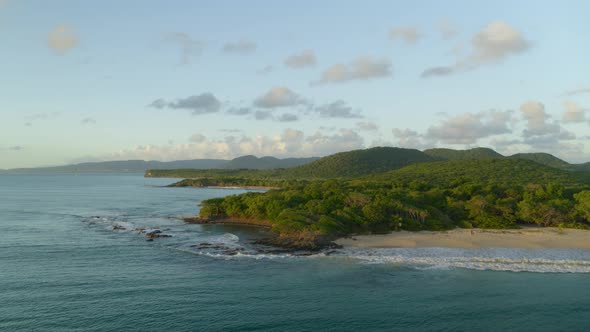 Aerial of dense forest near beautiful sea coast alt