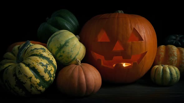 Pumpkin Display On Table Loop alt