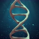 Biology of DNA Loop 4K - VideoHive Item for Sale