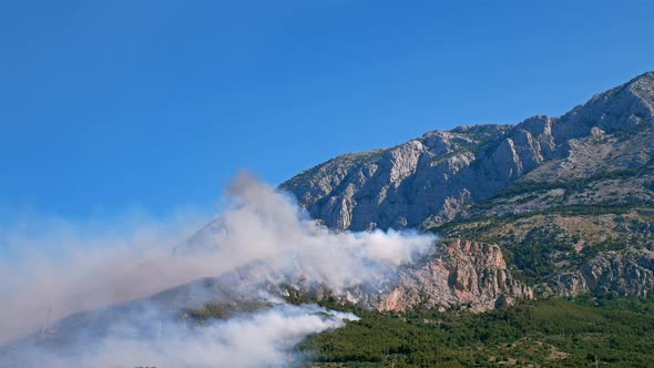 Large Forest Fire Below Mountain