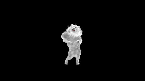 White Lion Dancing 4K alt
