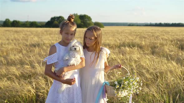 Happy Girls in Wheat Field. Beautiful Girls in White Dresses Outdoors