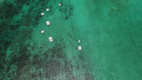 Top View of Snowwhite Catamarans Floating on the Indian Ocean