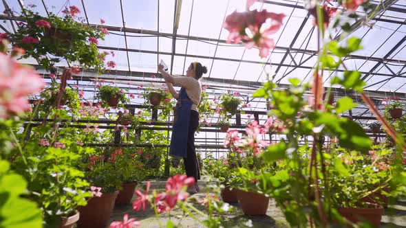 Gardener with Tablet Work in Greenhouse
