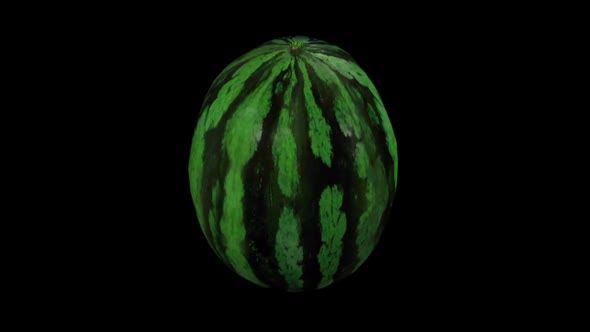 3D watermelon spins on a black background