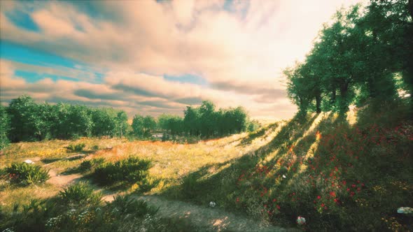 Heavy Rain Clouds Over the Field at the Sunset alt