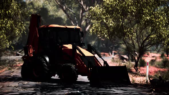 Excavator Tractor in Bush Forest alt