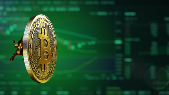 Bitcoin Bull Background Season alt
