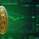 Bitcoin Bull Background Season - VideoHive Item for Sale