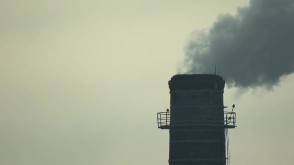 Smoke Comes From the Chimney. Air Pollution. Slow Motion. Ecology. Kyiv. Ukraine alt