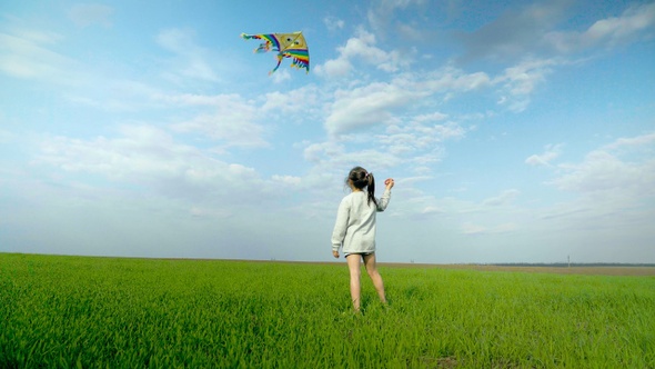 Little girl playing with a kite on a green field alt