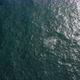 Aerial Footage of Two Whales Swimming in Vast Blue Ocean Area Under the Sunlight. - VideoHive Item for Sale