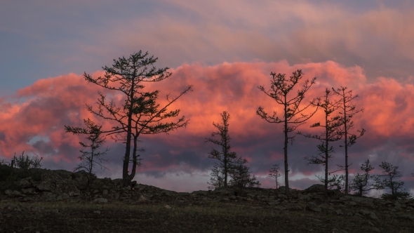 Sunrise  of Red Clouds and Trees