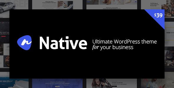 Native - Powerful Startup Development Tool - Creative WordPress