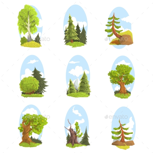 Natural Landscape with Various Trees Set - Landscapes Nature