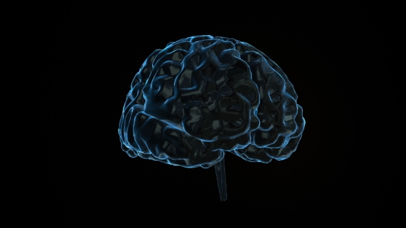 Human Brain with Neuronal Impulses. alt