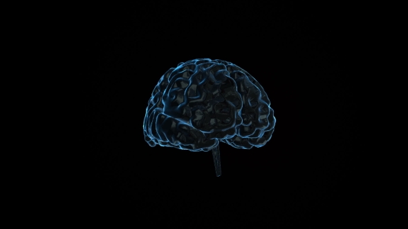 Human Brain with Neuronal Impulses. alt