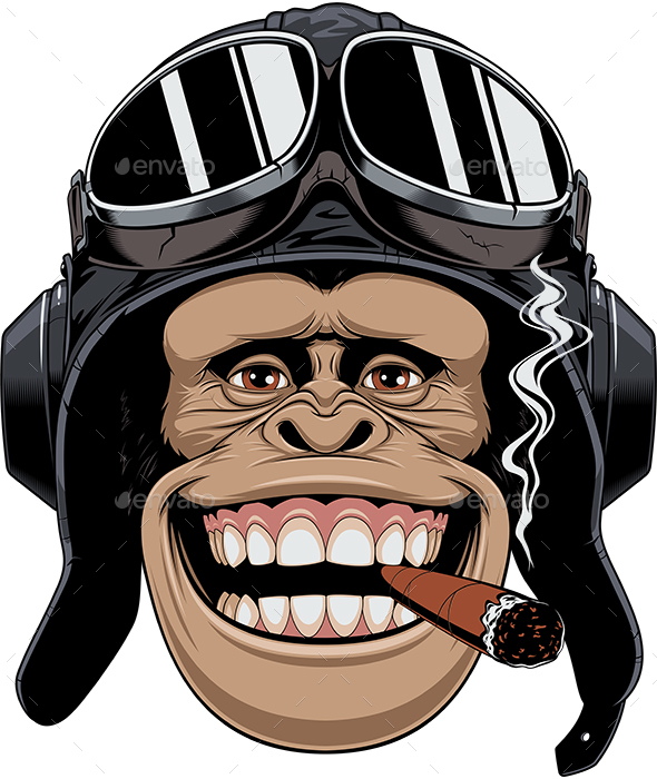Monkey in Helmet Pilot - Animals Characters