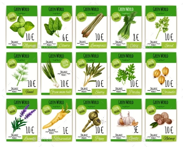 Vector Price Cards Set for Spices and Herbs - Food Objects