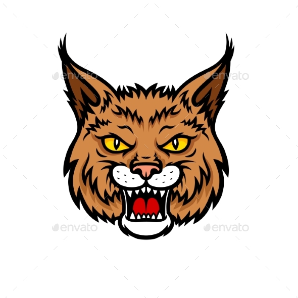Bobcat Lynx Head - Animals Characters