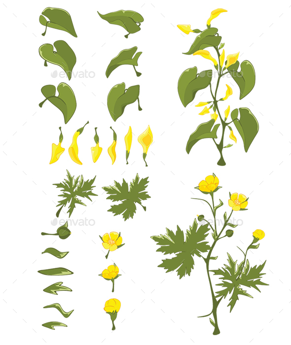 Set of Cartoon Leaves and Flowers for Design - Flowers & Plants Nature
