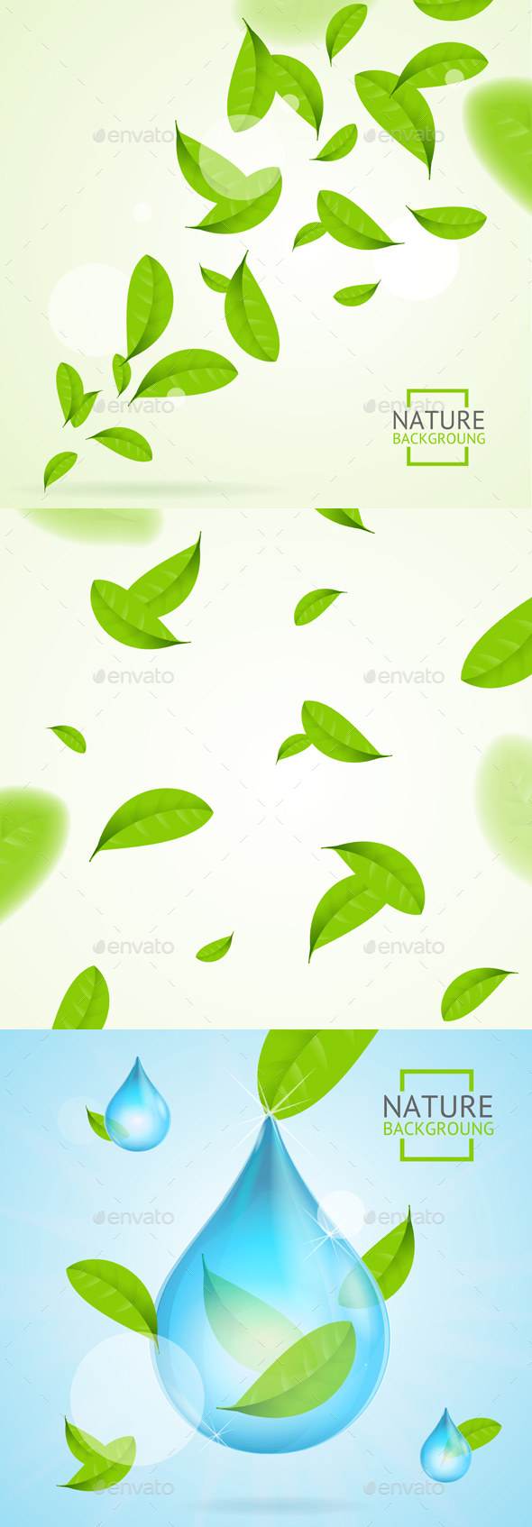 Nature Concept Transparent Purity Drop Water and Fly Green Leaves. Vector - Conceptual Vectors